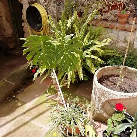Mas D'en Ferran Casa rural